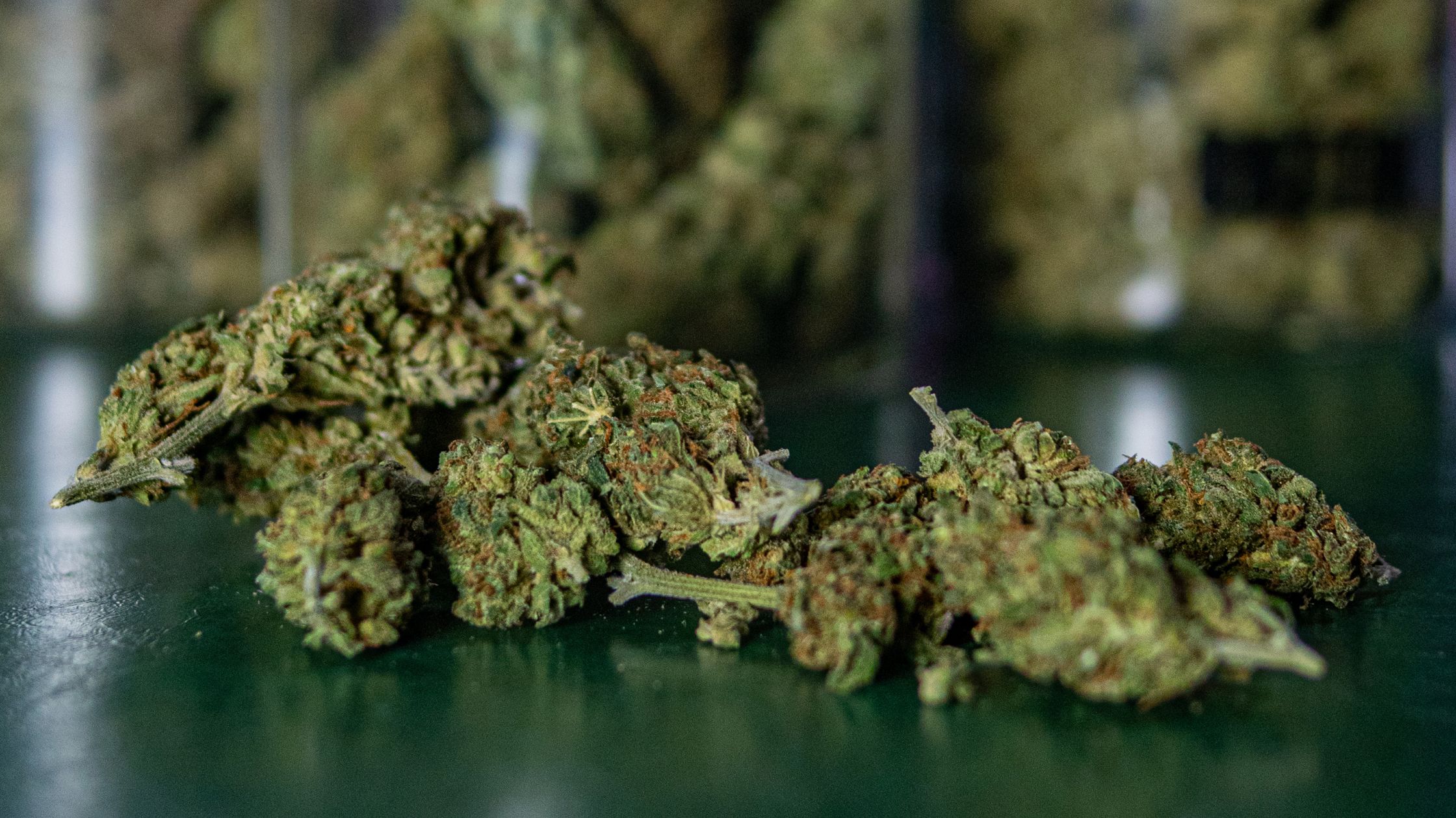 diffeent marijuana strains in Madrid cannabis club