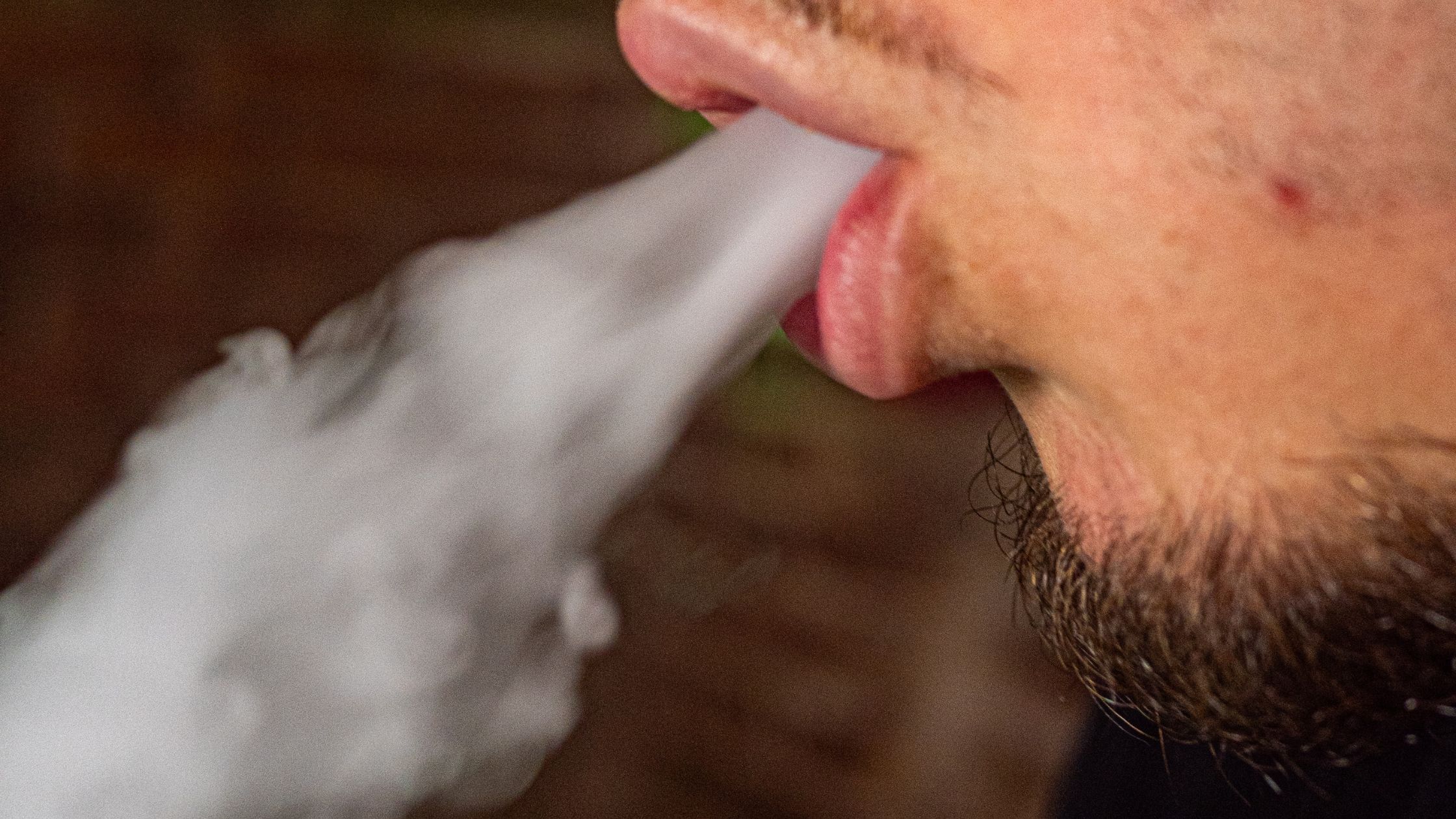 tourist smoking in madrid weed club