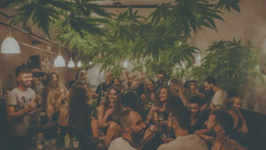 weed club madrid