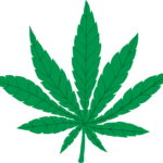 Cannabis leaf