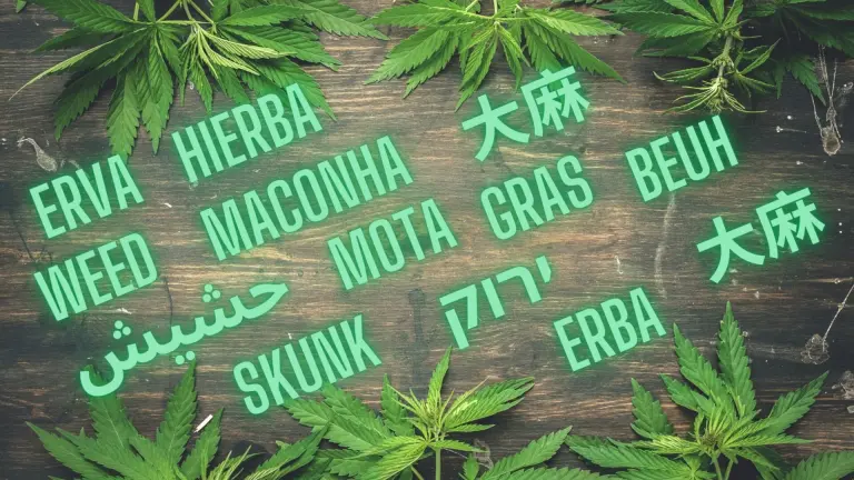 Cannabis Slang Around the World