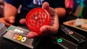 a weedclub in malasaña Madrid