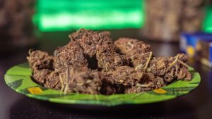 cannabis in madrid weedclub