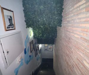 private weed club madrid