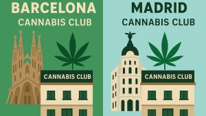 cannabis en Madrid vs. Barcelona