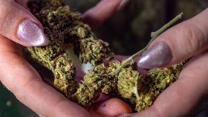 dispensary leganes madrid 