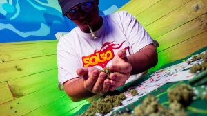club de cannabis estigia chamberi